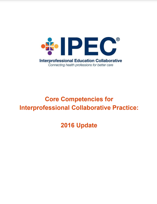 IPEC IPE Report Cover